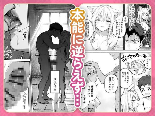 元奴●獣人ちゃんはご主人様と毎日えっちがしたい！ COMICアイル - このアングルが素敵