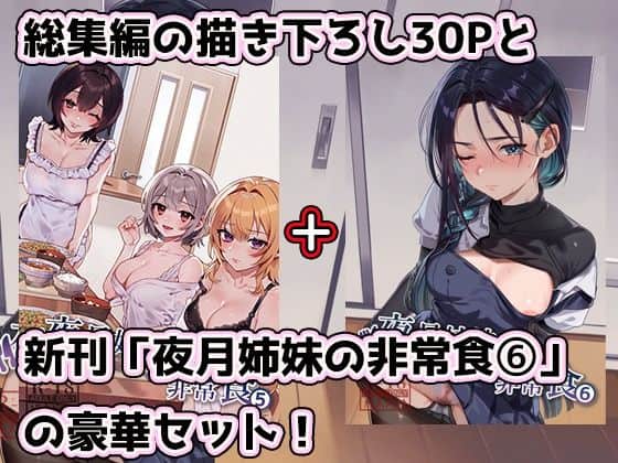 夜月姉妹の非常食5＋6 nikukyu 表紙